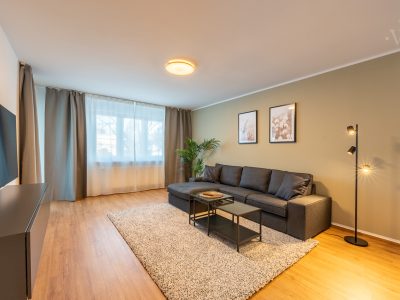 Wohnzimmer mit schwarzem Sofa, Teppich und bodentiefem Fenster für viel Tageslicht