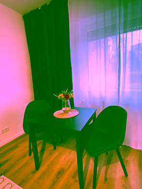 Bild - Möbliertes 1-Zimmer-Apartment in bester Berliner Wohnlage