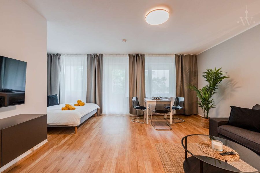 Charmantes 1-Zimmer-Apartement in zentraler, entspannter Umgebung, Dreysestraße, 10559 Berlin, Tiergarten