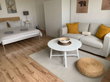 Living/sleeping area 1 - Furnishing 1-room flat near Rudolph-Wilde-Park