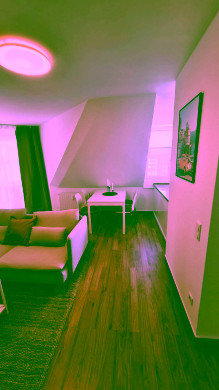 20241011_120505 - Helle 3-Zimmer-Oase – Natur, Ruhe und Tegeler See vor der Tür