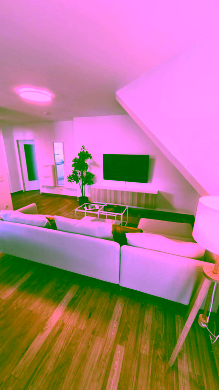 20241011_120536 - Helle 3-Zimmer-Oase – Natur, Ruhe und Tegeler See vor der Tür