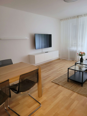 Wohnzimmer - Unsere moderne 3-Zimmer-Wohnung mit großem Balkon