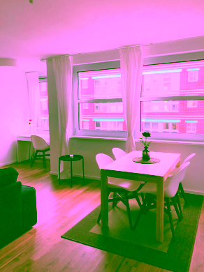 WZ 6 - Furnished 2-room apartment with quiet sleeping area in the centre of Berlin