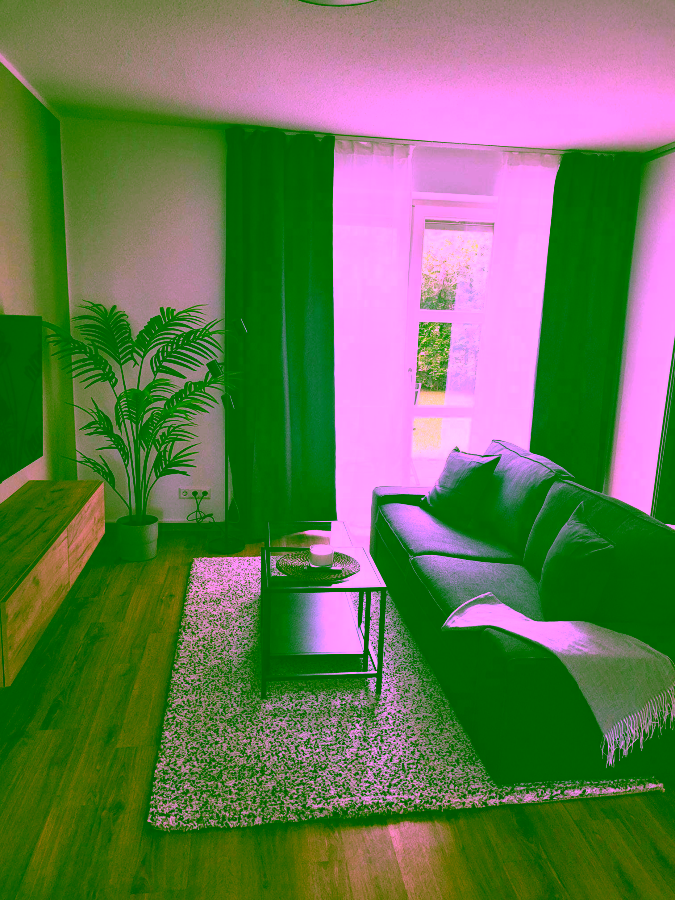 Traumterrasse mitten in Berlin: Modernes und voll möbliertes 2,5-Zimmer-Apartment in Kreuzberg, 10969 Berlin, Kreuzberg