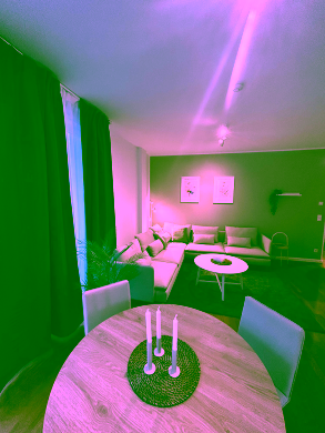 Bild - Unsere gemütlich möblierte 2-Zimmer-Wohnung in zentraler Lage