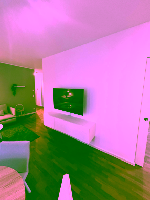 Bild - Unsere gemütlich möblierte 2-Zimmer-Wohnung in zentraler Lage