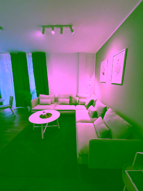 Bild - Unsere gemütlich möblierte 2-Zimmer-Wohnung in zentraler Lage