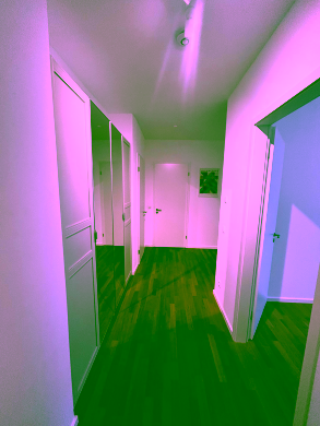 Bild - Unsere gemütlich möblierte 2-Zimmer-Wohnung in zentraler Lage